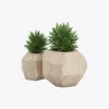 product-image-7_optimized Minim Veniam